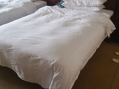 -维也纳国际酒店·西安大雁塔大唐不夜城店
