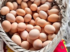 -马陆小张葡萄园农家乐