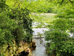-中国茶叶博物馆(双峰馆区)