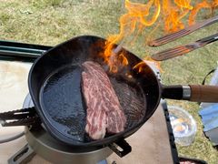 -春花秋色城市公园