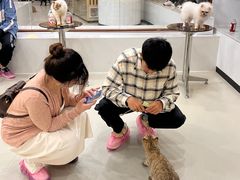 -共舞时光猫咖·狗咖(新街口店)