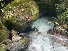 -西岭雪山大飞水景区