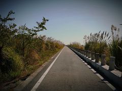 -芒洲湿地公园