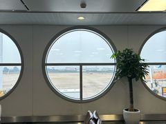 -厦门高崎国际机场-T3航站楼
