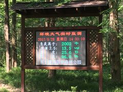-黄海国家森林公园