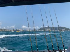 -小猫钓鱼海钓俱乐部(椰梦长廊店)