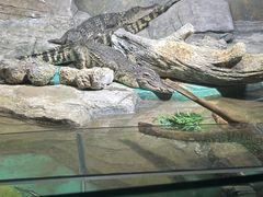 -重庆欢乐海底世界