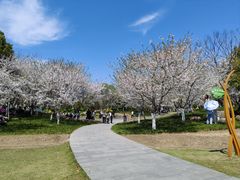 -径山花海