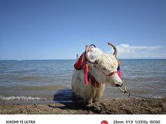 -青海湖国家重点风景名胜区