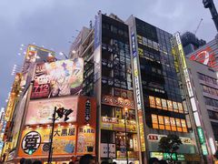 -秋叶原电器街