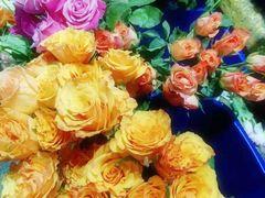 -循礼门鲜花花市(武汉循礼门店)