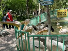 -水上乐园·欢乐世界