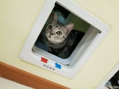 -猫和宫(六道口店)