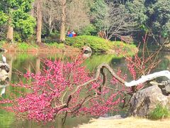 -杭州植物园