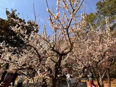 -纳鲁孜·新疆特色餐厅(上海悦荟广场店)