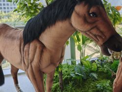 -IMON·HANSA潮玩玩偶毛绒玩具(通州万象汇店)