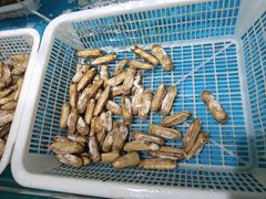 -王大厨·海鲜·家常菜