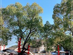 -惠山古镇·寄畅园