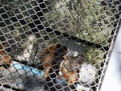 -长白岛森林公园