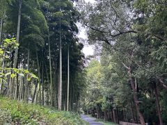 -东明山森林公园