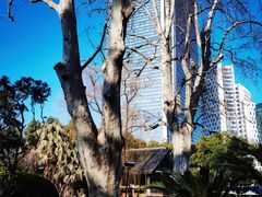 -静安公园(静安寺街道)