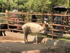 -西安秦岭野生动物园