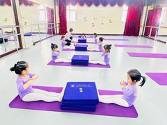 -北京梧桐树双语幼儿园