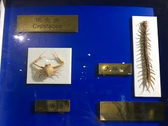 -上海昆虫博物馆