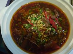 -深圳维景酒店-维景轩