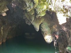 -怀托摩萤火虫洞