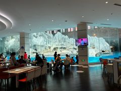 -帝企鹅自助餐厅•儿童岛•真企鹅(长隆企鹅酒店)