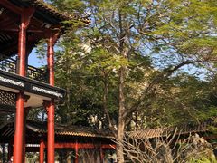 -顺峰山公园