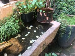 -宝翠花园餐厅(沙湖店)