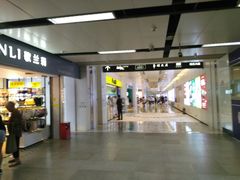 -大剧院(地铁站)
