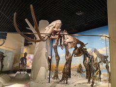 -国家自然博物馆