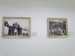 -上海中医药大学附属曙光医院(东部)