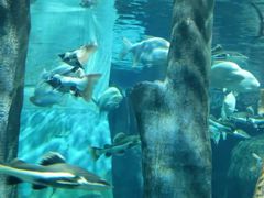 -福州罗源湾海洋世界旅游区