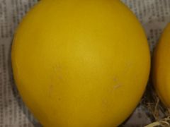 -苏格里岛自助海鲜烤肉火锅(集美万达店)