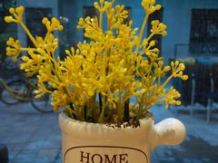 -石炮台果汁冰(天河店)