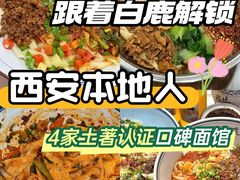 -大嘻咹biangbiang面(历史博物馆店)
