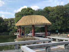 -江湾体育中心游泳馆