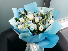 -奔驰利星行(北京花乡店)