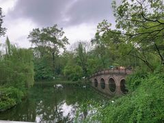 -桂湖森林公园