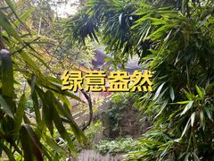 -雨花胜境