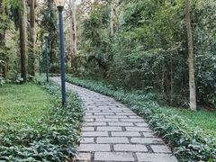 -燕晗山郊野公园