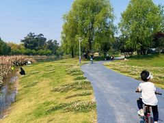 -两河城市森林公园