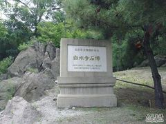 -白水寺森林公园