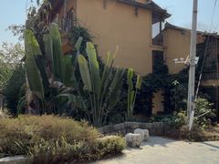 -孔雀湖生态旅游区