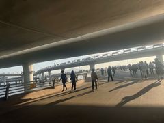 -演武大桥观景平台