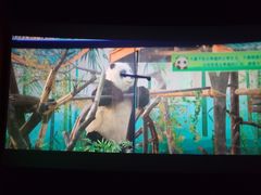 -高新活力汇Vitality